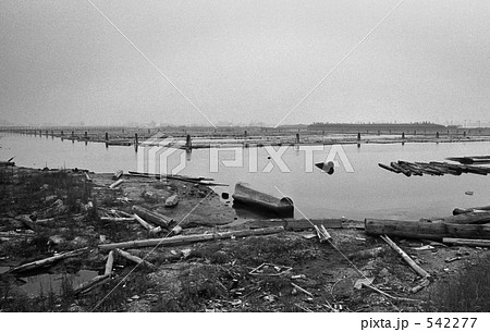 東京湾 お台場 昭和４８年の写真素材