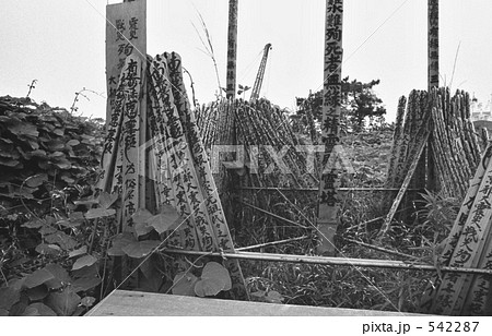 東京湾・お台場　昭和４８年 542287