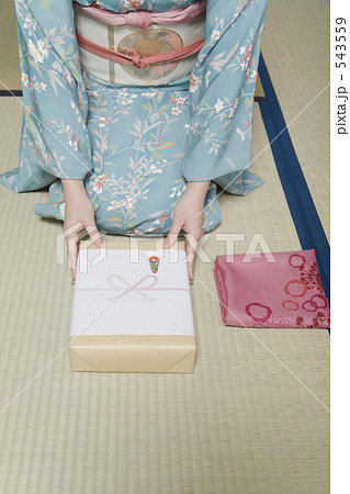 着物 女性 着物 女性 543559