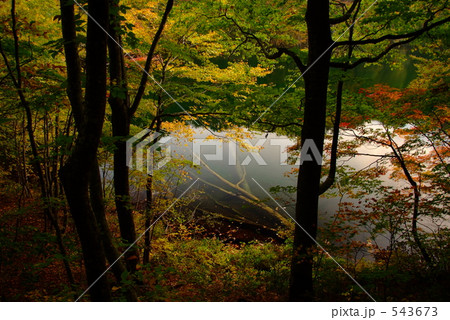 秋の八甲田　長沼 543673