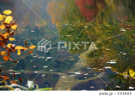 朽ちても・・・ 543683