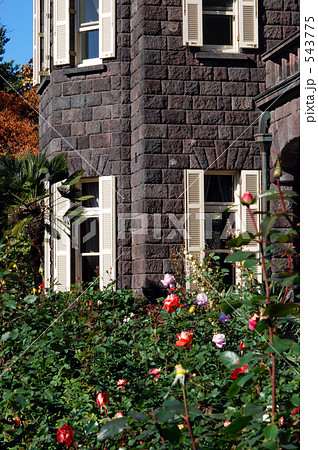 旧古河庭園 旧古河庭園 543775