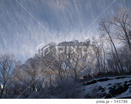 高野龍神スカイラインの樹氷7 高野龍神スカイラインの樹氷7 543786