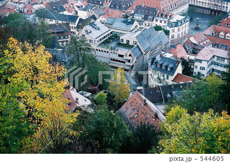 ハイデルベルク城からの紅葉と街並み ハイデルベルク城からの紅葉と街並み 544605