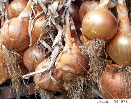 吊るし玉葱 544978