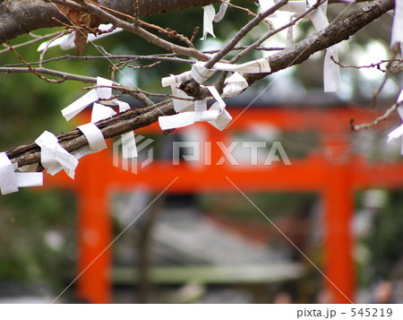 おみくじと鳥居 545219
