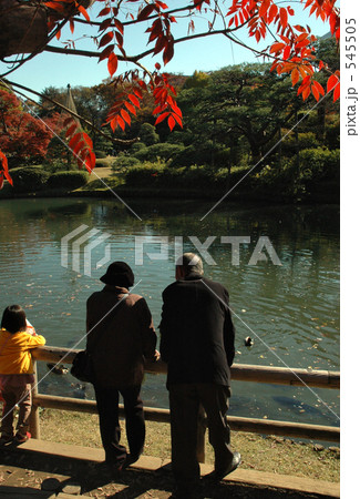 晩秋の六義園 545505