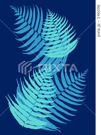 シダ模様のイラスト素材