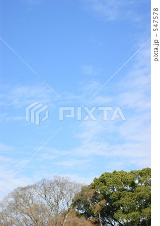 冬の青空 冬の青空 547578