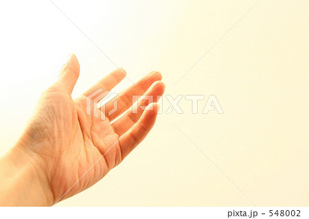 女性の手のひら 548002