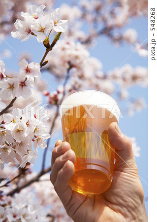 お花見宴会 548268