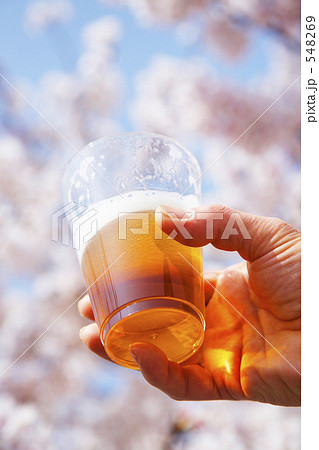 お花見宴会 548269