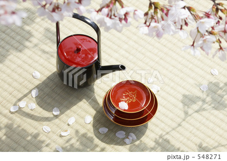 お花見宴会 548271