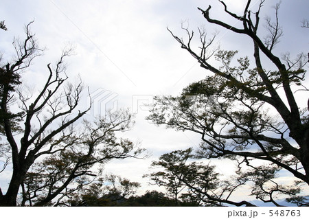 気味が悪い曇り空 548763