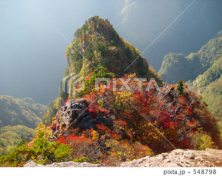 大台ヶ原の紅葉 548798