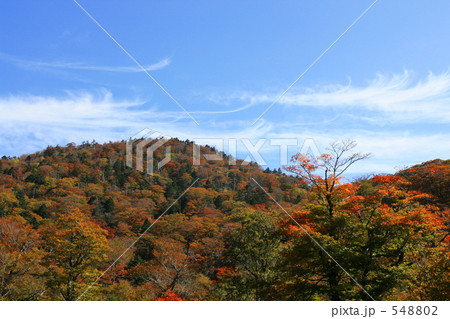 紅葉の山々 548802