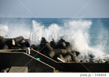 防波堤の釣り 548808