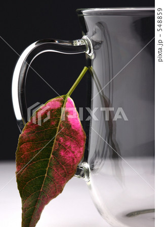 葉っぱとグラス 548859