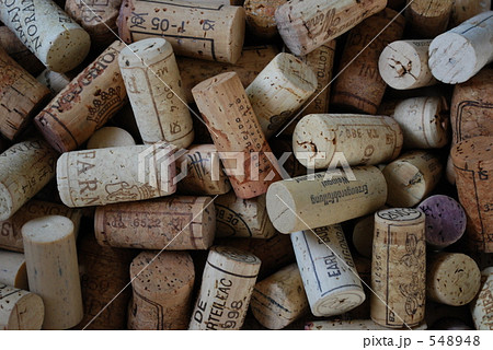 コルク！コルク！コルク！ 548948
