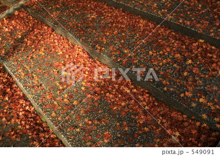 石段に散紅葉 549091