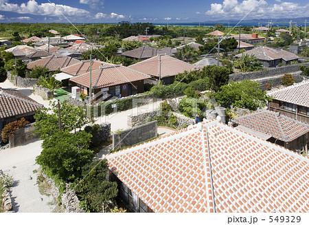 竹富島の集落 549329