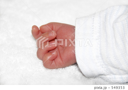 子供手のひら③ 549353