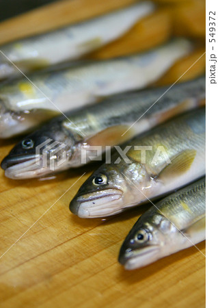 まな板の上の鮎 549372