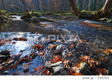 秋流れる森 550201