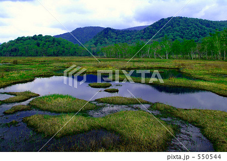 尾瀬沼 550544