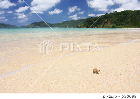 西表島のヤドカリ 550698