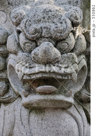 狛犬 狛犬 550862