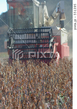 迫力の収穫 迫力の収穫 551395