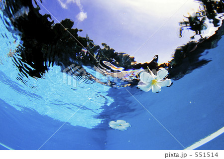 サムイ島 4 551514