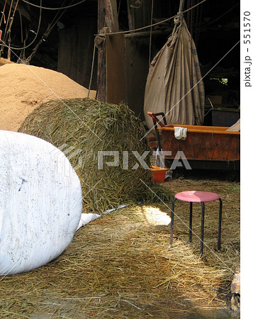 牛舎の午後 551570