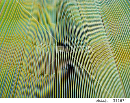 幾何学模様 幾何学模様 551674