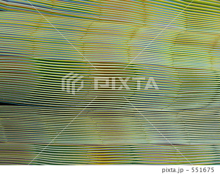 幾何学模様 幾何学模様 551675