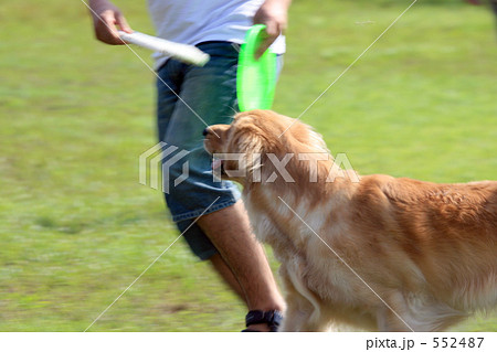 フリスビーを投げる フリスビーを投げる 552487