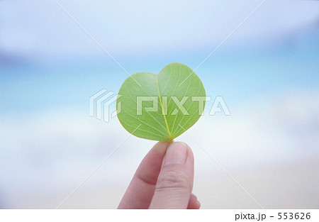 553626