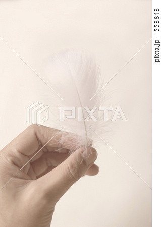 手イメージ 553843