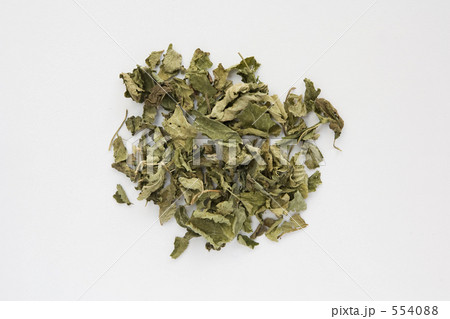 ハーブ ハーブ 554088