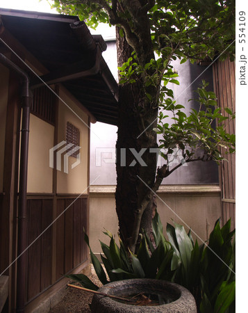 旧家 旧家 554109