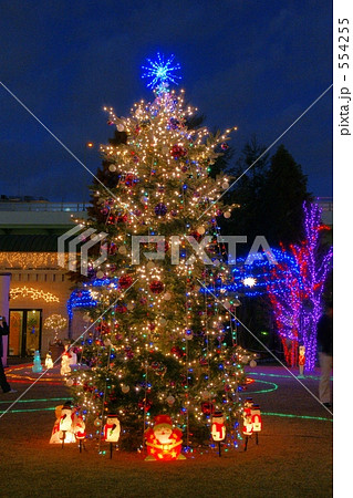 これからクリスマス 554255