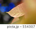 poinsettia 1 554307