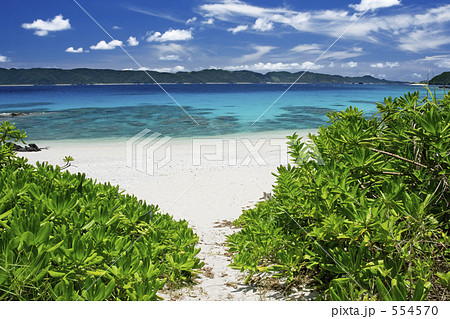 海へと続く道 海へと続く道 554570