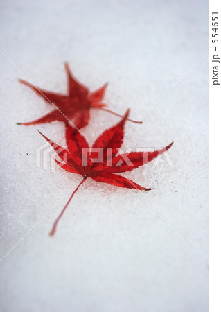 紅葉2 紅葉2 554651