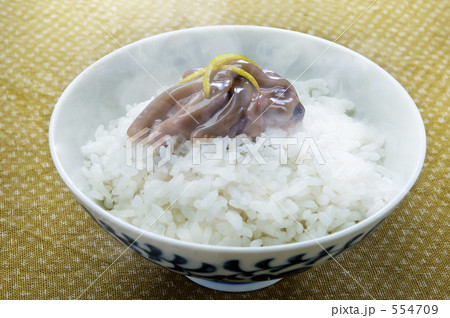 塩辛とご飯 554709