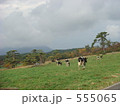 大山の牧場 555065