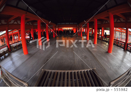 雨の厳島神社境内Ⅳ 555982