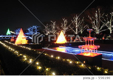 昭和記念公園のイルミネーション 昭和記念公園のイルミネーション 556190