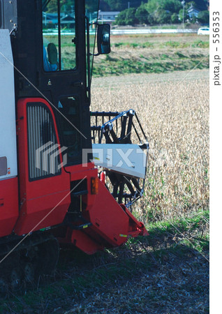 一気に収穫 556353